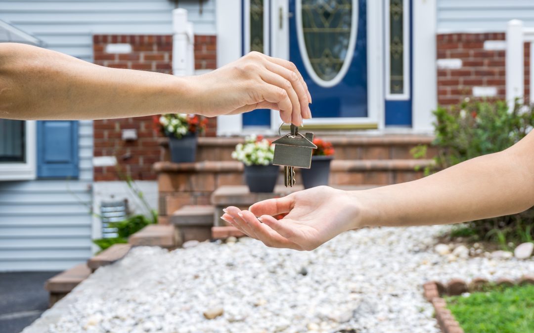 The Ultimate Homeowner’s Seasonal Guide